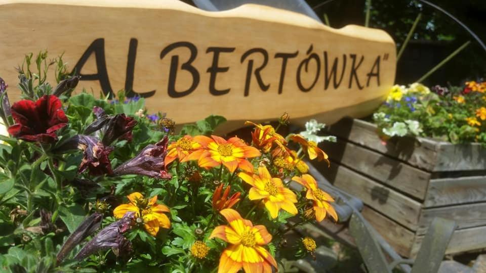 Albertowka Trzciel Экстерьер фото